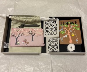 Loewe Coin Purse | eBay