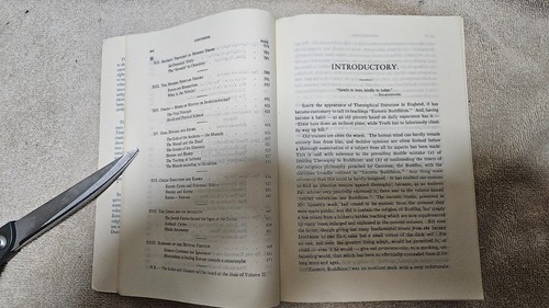 ‡ 😈 Secret Doctrine by Blavatsky • 1970 PB Vol 1 1st Esoteric Cultism Mysticism - Imagen 18 de 24