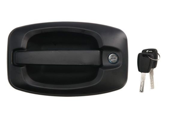 Rear BLIC 6010-07-038417PP Door Handle, interior equipment for CITROËN,FIAT,PEUG