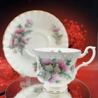 Royal Albert Bone China Teacup & Saucer Summertime Scottish Thistle Tea BX15