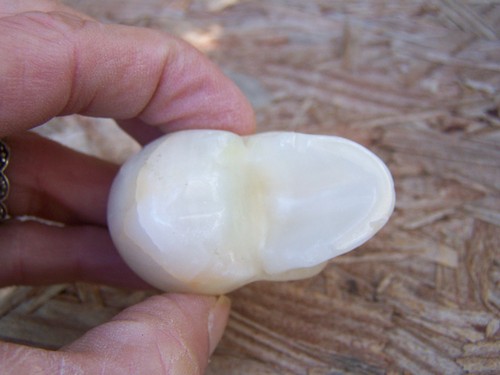 Calavera de piedra de ágata de 2,1" tallada a mano realista 94,4 g 3,3 oz cristal curativo - Imagen 9 de 12