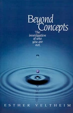 Beyond Concepts: The Investigation of Who You Are Not by Esther Veltheim 