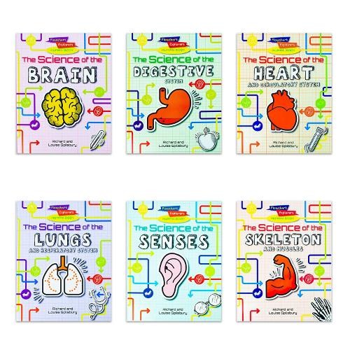 Flowchart Explorers Human Body STEM 6 Science Books Set: (Brain, Digestive, Heart, Lungs, Senses, Skeleton) - Image 11
