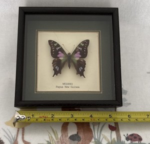 Butterfly Vintage | eBay UK