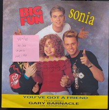 Big Fun & Sonia You've Got A Friend Vinyl Record 12" VG+/VG CHILD T 90 1990