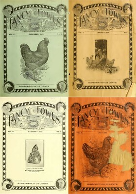 #ad #ad Fancy Fowls Poultry Farming Chicken Magazines 1902 1907 60 Issues on DVD $14.99