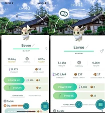Shiny Eevee wearing an explorer hat Seoul background Male Female - Trade