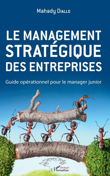 Mahady Diallo | Le Management StratéGique Des Entreprises | Taschenbuch (2020)-image