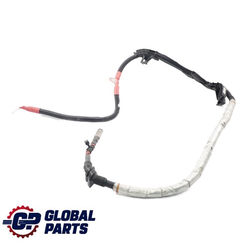 BMW F20 LCI F87 M2 N55 Kabel Lichtmaschine Starter Basis B Verkabelung 8621486