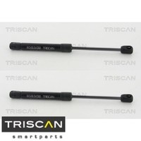 2X Gasfeder FüR Motorhaube Triscan 871011132 2 GasdäMpfer Motorraum FüR BMW