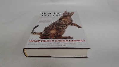 Decoding Your Cat: The Ultimate Experts Explain Common Cat Behavi