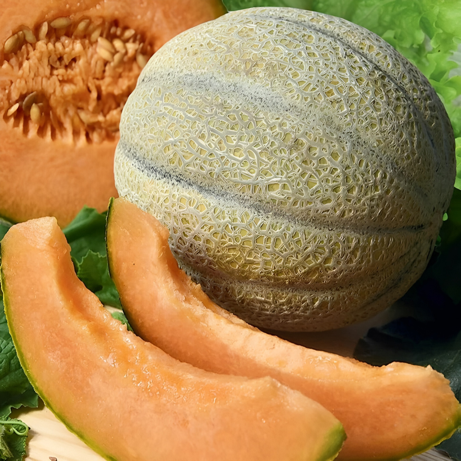 100 Heirloom Organic Rockmelon Seeds - AAS Winner - Insanely Sweet ...