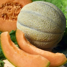 100 Heirloom Organic Rockmelon Seeds - AAS Winner - Insanely Sweet & Creamy!