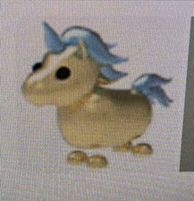 A Golden Unicorn, A Legendary Pet From Egg