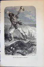 Old 1880 Human Races Humaines Figuier Indiean Scalpant Ennemi Tue Ind Victorian