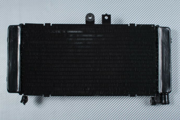 Radiateur moto en aluminium haute performance pour Honda CB900F Hornet 2002-2007