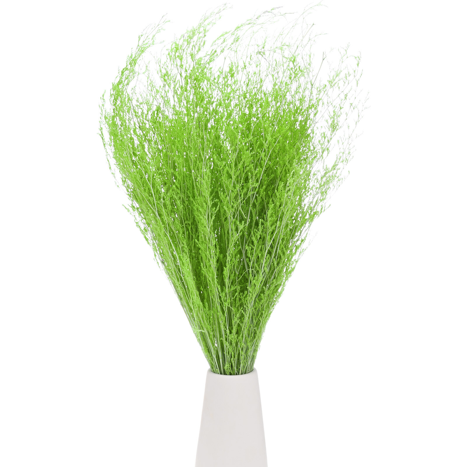 Dried Flowers Bouquet 17