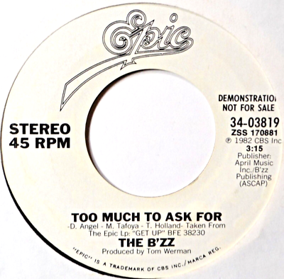 The B'zz Too Much to Ask For DJ Promo 80s Rock NM 45 7