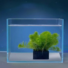 5Pcs Aquatic Plant Basket Hydroponic Plant Cup Aquarium Planter Cup