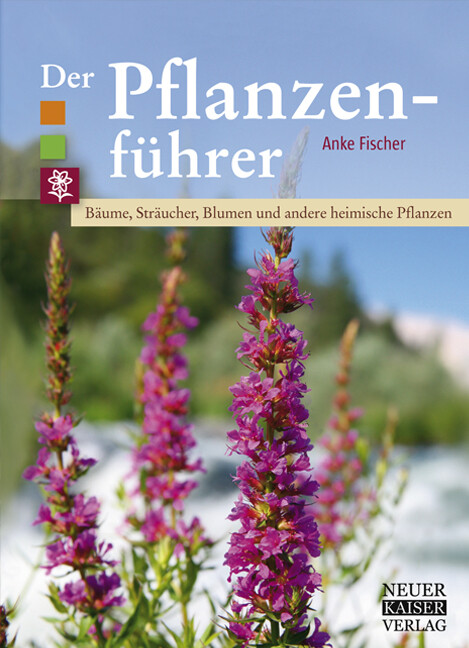 Thumbnail - Anke Fischer / Der Pflanzenführer