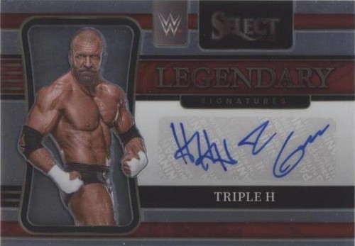 WWE TRIPLE HHH & ICON STING DUAL SIGNED AUTOGRAPHED 8X10 PHOTOFILE