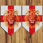 England Bunting St George Euro 2024 Football Sports Euro's Lion flag