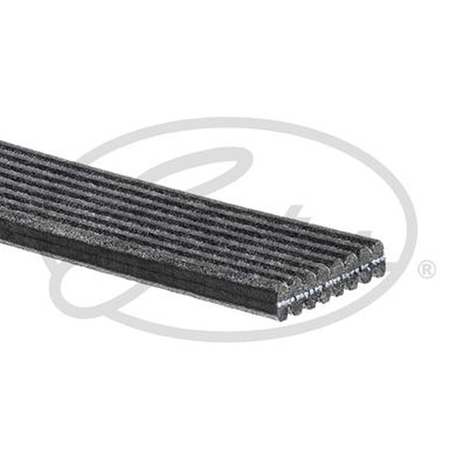 Gates Micro-V V-Ribbed Belt - 8DPK1410 - Fits Jaguar - Equivalent to OE Quality