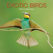 EXOTIC BIRDS - 2026 WALL CALENDAR - BRAND NEW - 223719