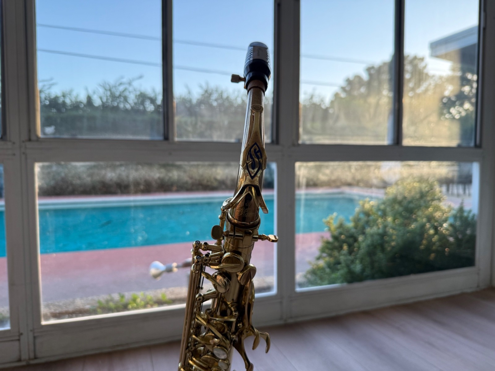 Henri Selmer Paris Super Action Series II Alto Saxophone