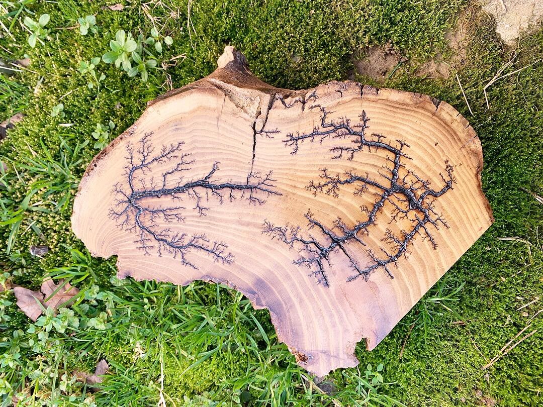 Fractal burning, wood burning, Lichtenberg wood burning, wall decor