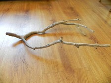 Manzanita driftwood branch bird perch aquarium reptile