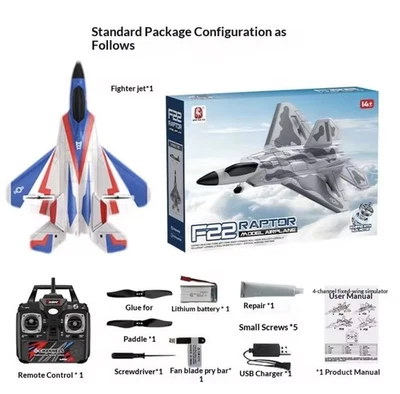 BM31 F22 Raptor RC Flugzeug 4CH Brushless mit einem Akku - Bild 1 von 4