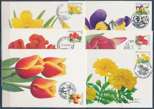 XE60213 Belgium 1999 -2008 plants flora nature flowers maxicards used