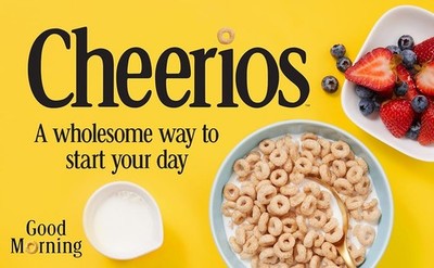 Protein Cereal, Stberry, Protein, Fily Size