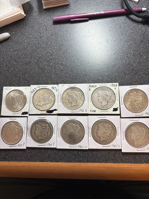 Morgan and Peace Silver Dollar Lot of 10