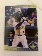 Blake Tiberi Card  2018 Columbia Fireflies Team Card