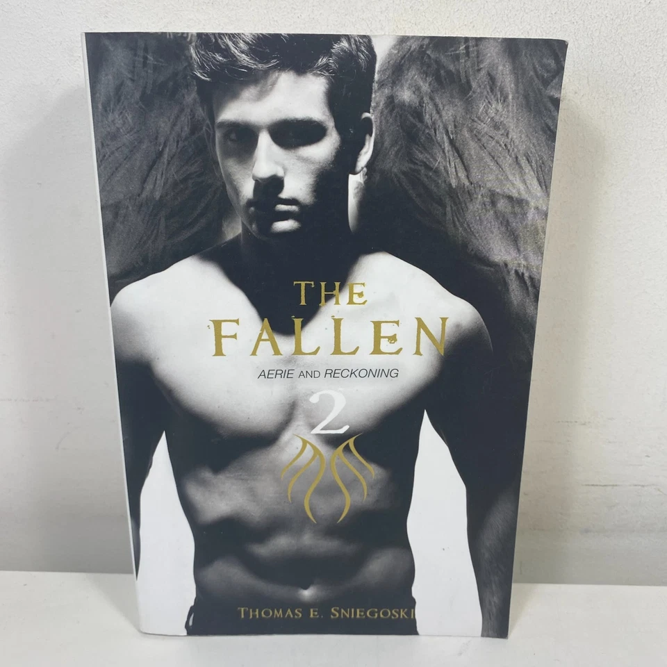 2 Lot Thomas E Sniegoski- Crashing Paradise & The Fallen 2 Paperbacks - image 2 of 4