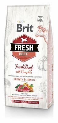 BRIT Fresh beef with pumpkin puppy large 24 kg (2 x 12 kg)