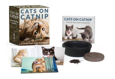 Cats on Catnip: A Grow-Your-Own Catnip Kit
