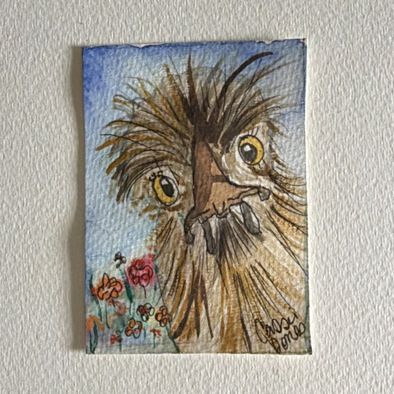 Cluck’n Nosey 01