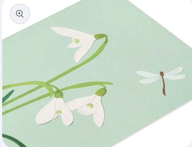 Papyrus Sympathy Card w/Dragonfly & Flowers - Image 3 of 4