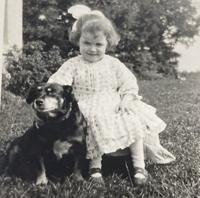 1930s Cute Adorable Little Girl Petting Dog Puppy Pet Original Real Photo P16d26