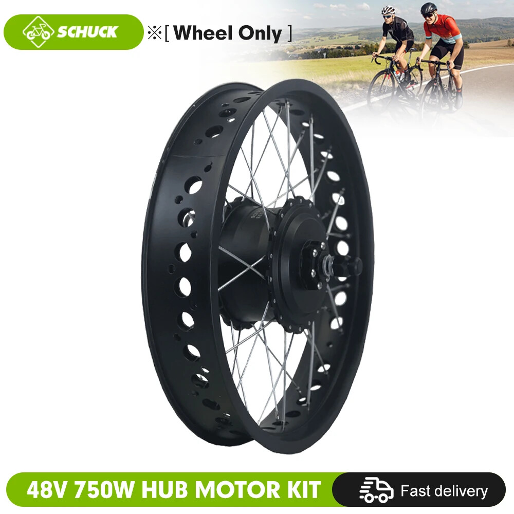 Snow Bike Fat Tire E-bike Conversion Kit 48V 750W Rear Rotat