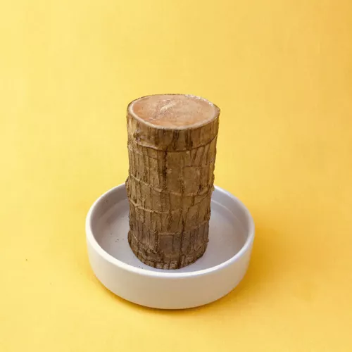 Groot Green Plant Brazilian Wood Water Raise Lucky Wood Potted Small Tree Peo UK - Picture 9 of 19