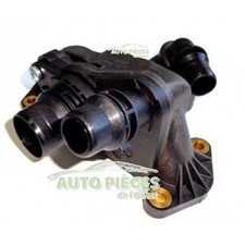 Thermostat Peugeot 407