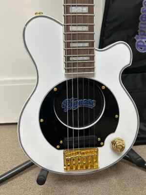 Pignose PGGー259 PGG-259 – Pignose Amps