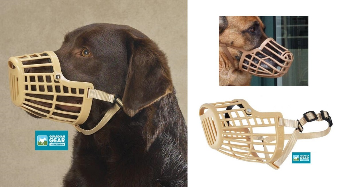 Guardian Gear XL DOG Quick Fit/Release Training Safety HEAVY DUTY