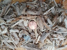 Rotting Wood Isopod, Springtails, Beetle, Millipede substrate 100 CUBIC INCHES