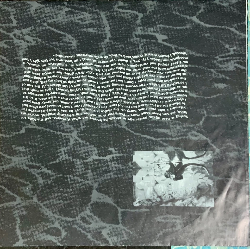 Nirvana Nevermind · Lp · 1991, foto 3 di 5
