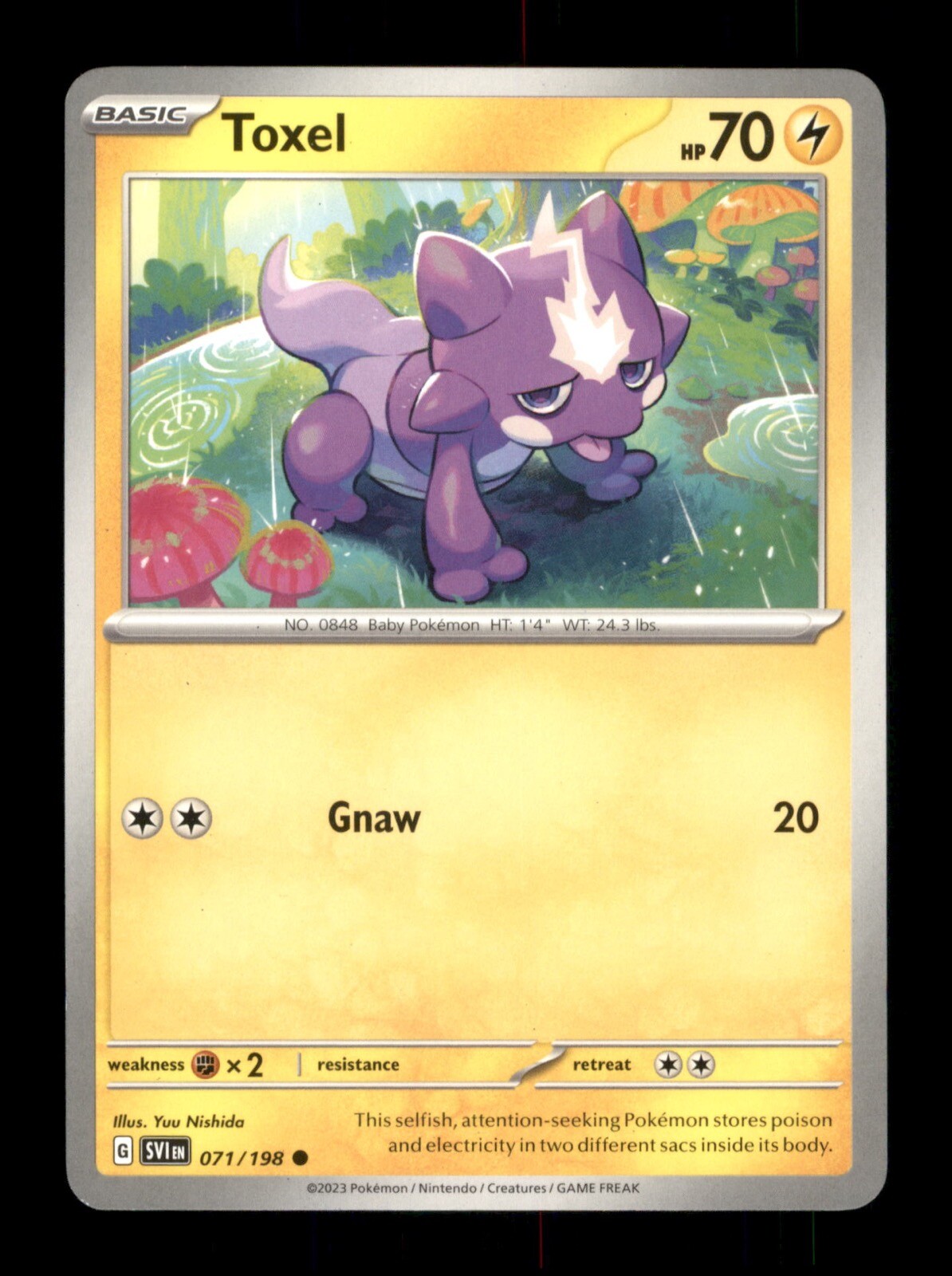 Toxel 071/198 Non-Holo Nintendo  Pokemon Trading Card TCG 